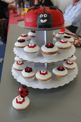Img_5851_medium