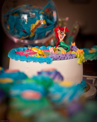 01-28-2012_047_medium