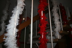 Img_1608_medium