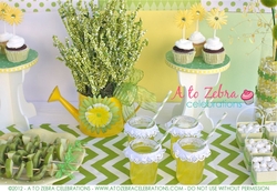 Atozebra_springparty-0023_medium