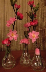 Photo_12__medium