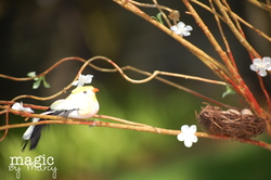 Dsc_0070_medium