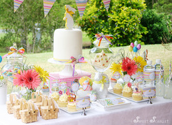 Img_2147-edit-sm_medium