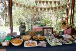 Camping-party-kids22_medium