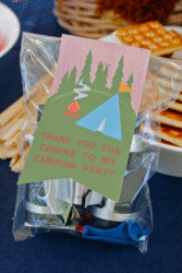 Camping-party4_medium