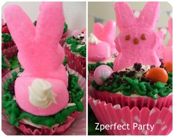 Zpp_bunny_collage_medium