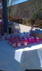 Imag0919_medium