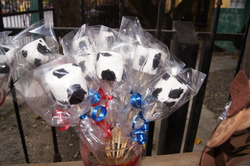 Dsc01648_medium