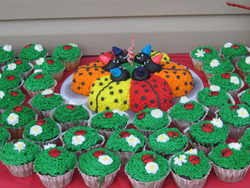 Img_0994_medium