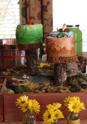Cake_medium