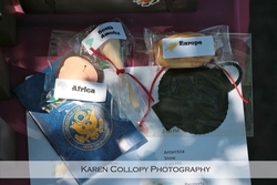 Small_world_42_medium