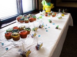 188532_196996103665236_187790504585796_591465_7160308_n_medium