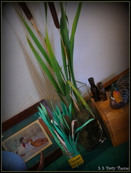 P1040809_medium