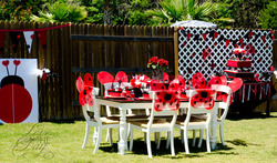 Ladybugparty2