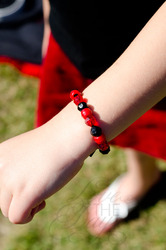 Ladybugparty6_copy_medium