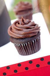 Ladybugpartytreats1_medium