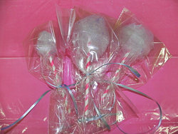 Dscn1361_medium