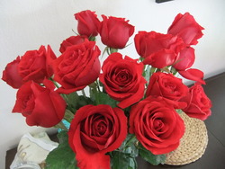 Dscf7066_medium