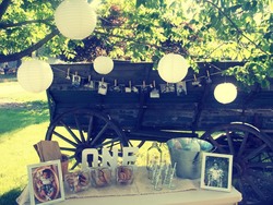 12_medium