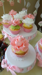 Dsc02914_medium