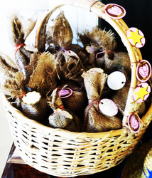 Photo2_medium