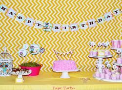 Mia_s_8th_bday_party_owls_067_copy_medium