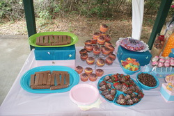 Dsc01309_medium