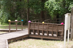 Dsc01313_medium