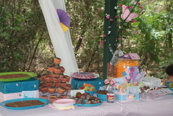 Dsc01334_medium