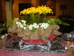 Dsc03238_medium