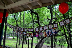 Dsc_1183_medium