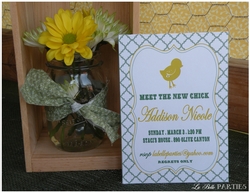 New_chick_23_medium