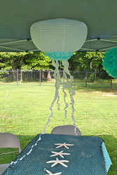 Img_4159_medium