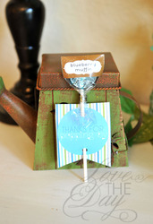 Readytopopshower13_medium