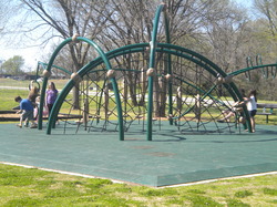 Dscn7224_medium