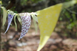Dsc_8951_medium