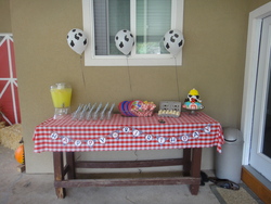 Dsc01708_medium