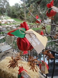 Dsc01705_medium