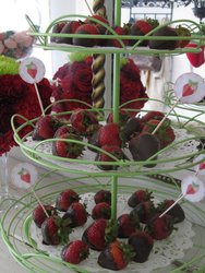 Img_3364-1_medium