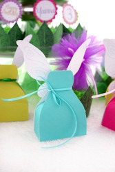 Robin_egg_blue_fairy_dress_box_medium