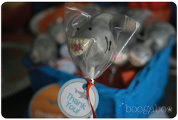 Shark_8_medium