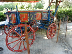 Dscn0046_medium