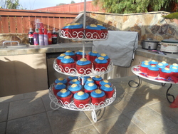 Dscn1322_medium