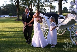 Webimg_6528_medium