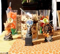 Jungle_party_9_medium