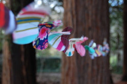 Dsc_0115_medium