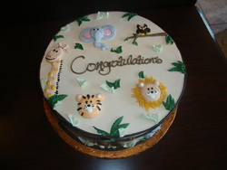 Dsc09749_medium