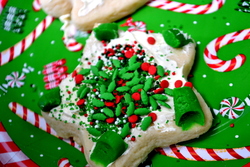 Jelllystone_christmas_in_july_2_004_medium