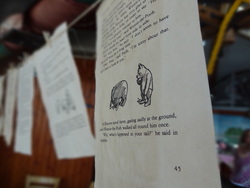 Dsc01336_medium
