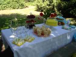 Dsc09708_medium